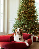 Árvore de Natal White Spruce Verde com Galhos Articulados, Suporte Metálico e Micro LEDs Embutidos (ultimas unidades)