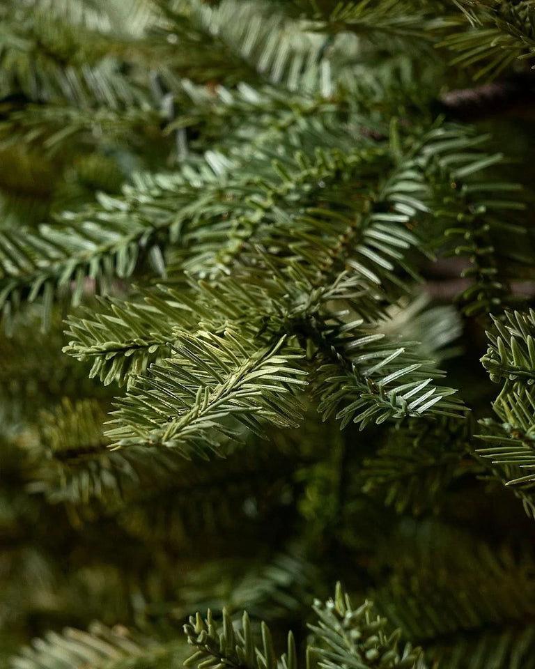 Árvore de Natal Montreal com Galhos Articulados, Suporte Metálico e Micro LEDs Embutidos